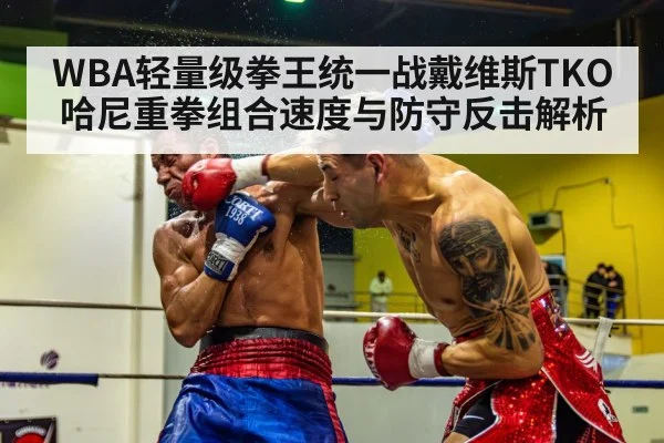 WBA轻量级拳王统一战戴维斯TKO哈尼重拳组合速度与防守反击解析